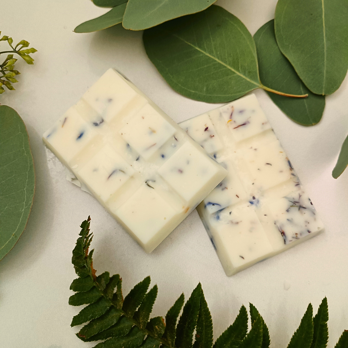 Two Fern Forest essential oil wax melt snap bars surrounded by ferns and leaves
