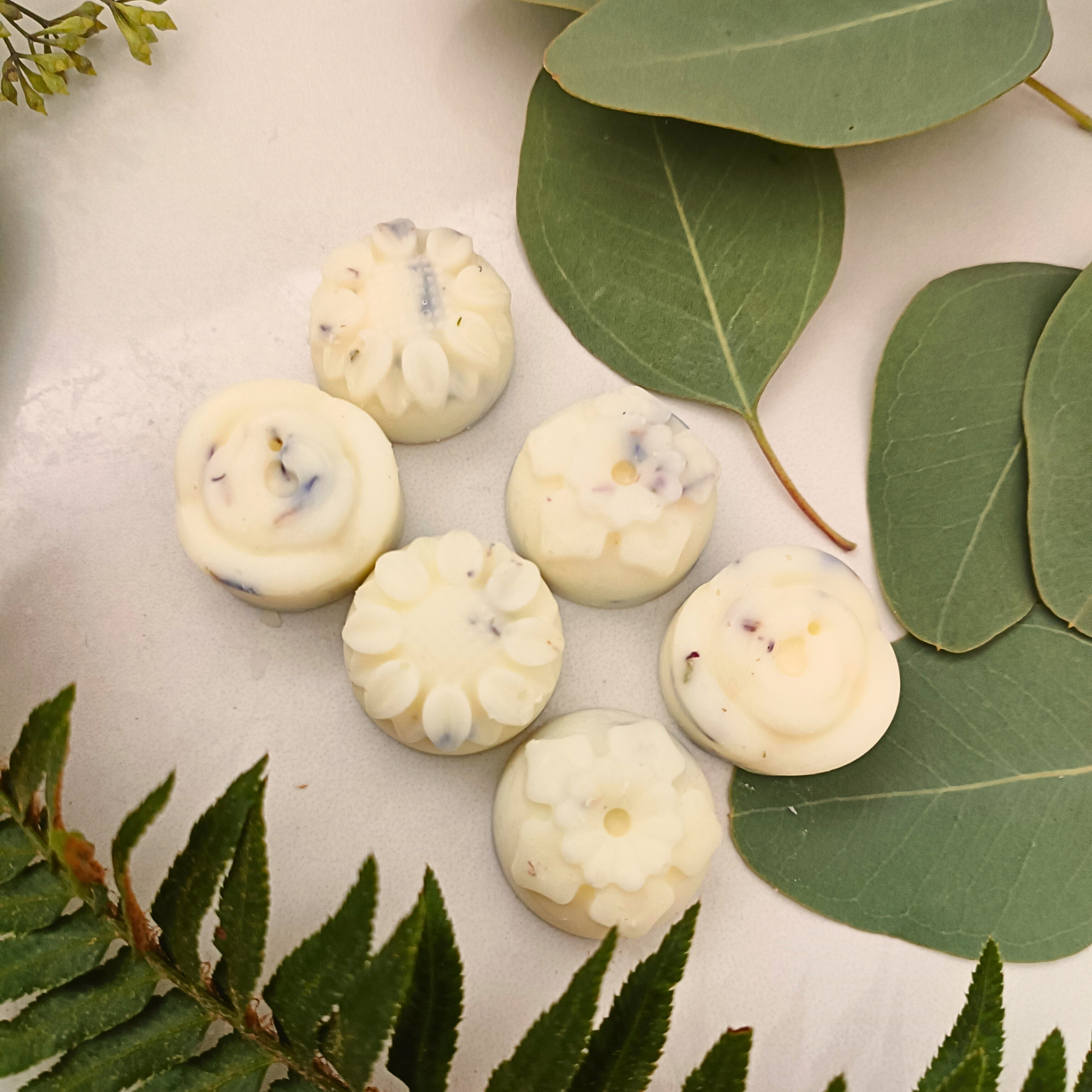 six individual flower-shaped Fern Forest essential oil wax melts surrounded by leaves