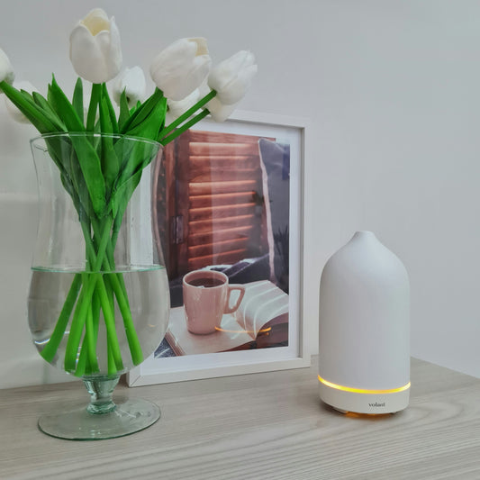 Simple Daily Rituals to Feel Grounded and Calm
