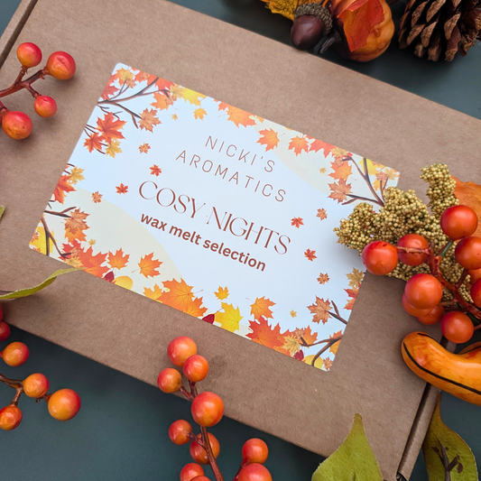 Cosy Nights Wax Melt Selection Box